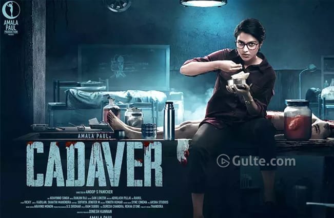 Cadaver