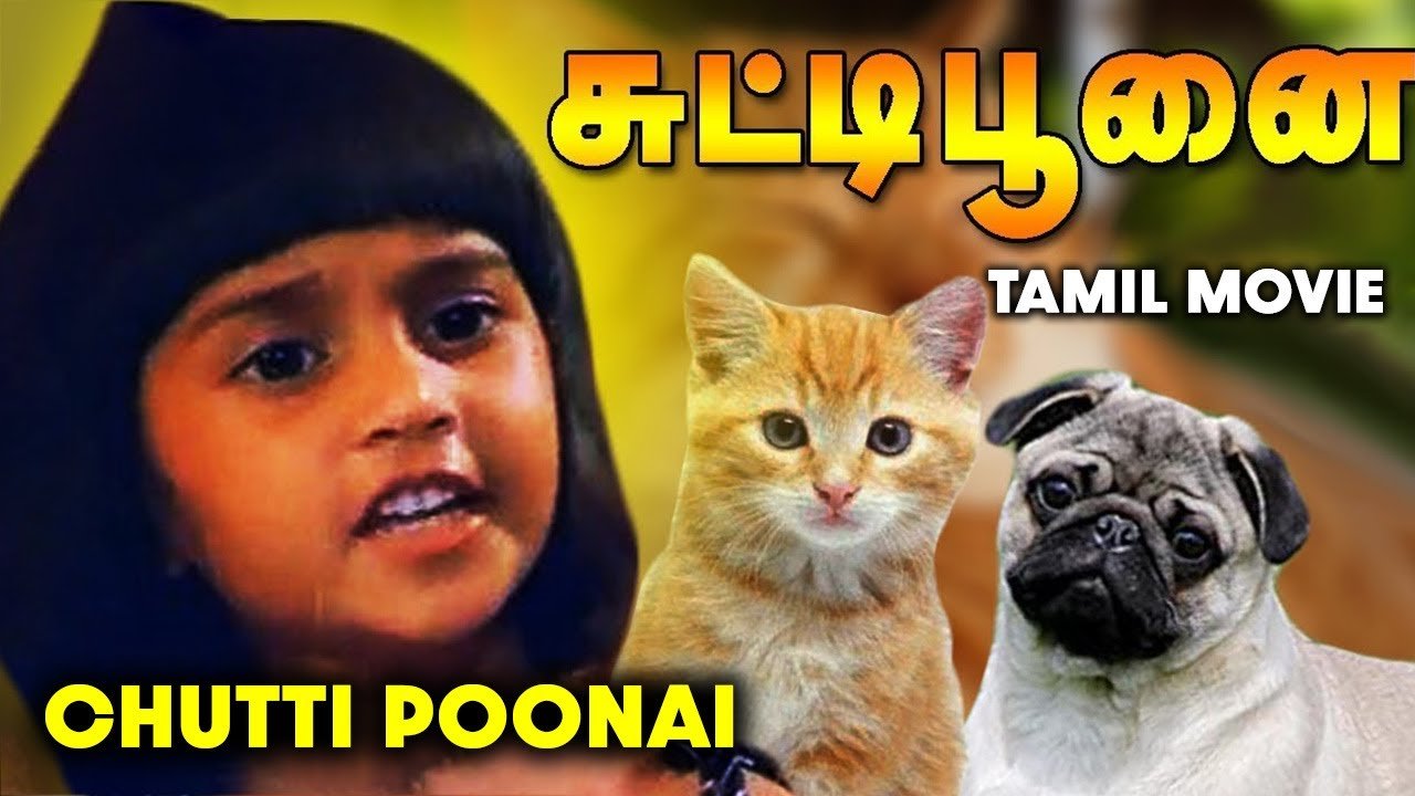 Chutti Poonai