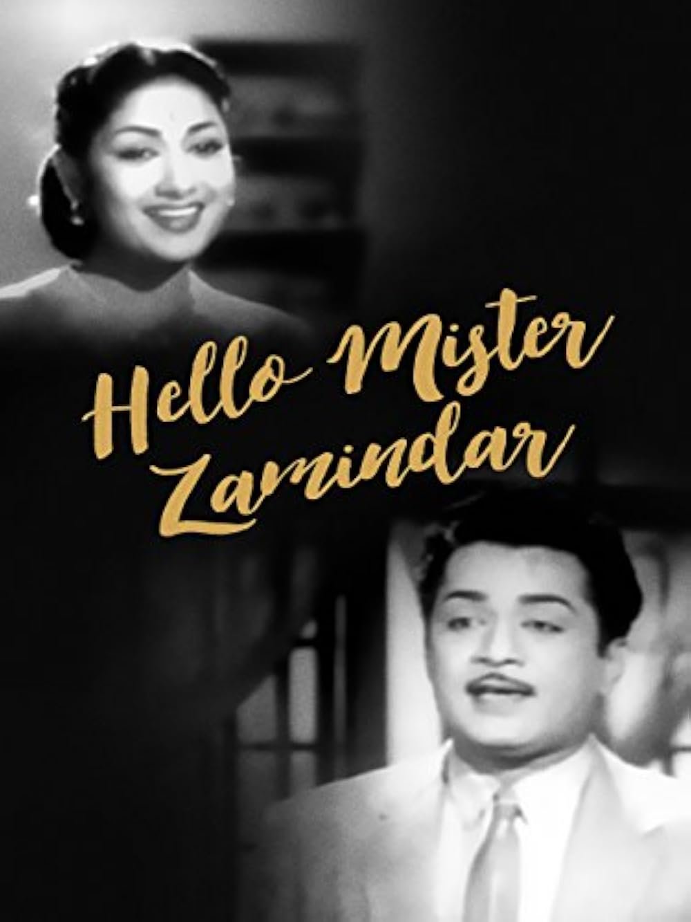 Hello Mister Zamindar