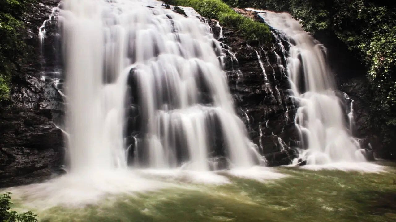 Selva Magal