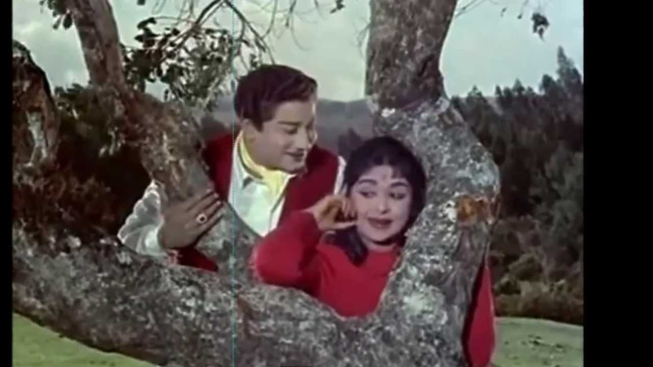 Chittu Kuruvi