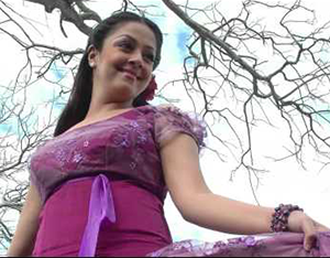 Sevvanam Selai Katti