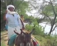 Thakkali Pazham Pola