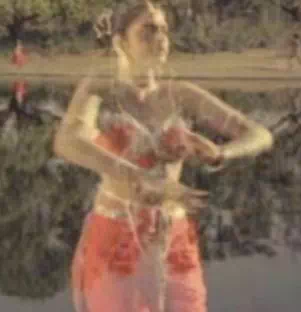 Paadum Paravaigal