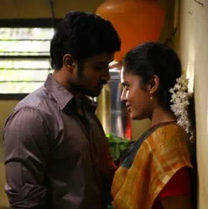 Veettukkulla Vaanavillu