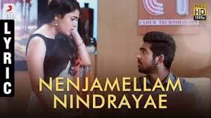 Nenjamellam Nindrayae
