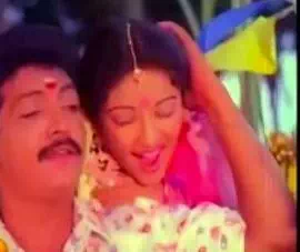 Vasamulla