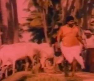 Sittu Kuruvi Paaru