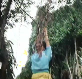 Amma Adi Amma