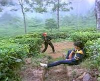 Oru Pattampoochi Enna Vitta
