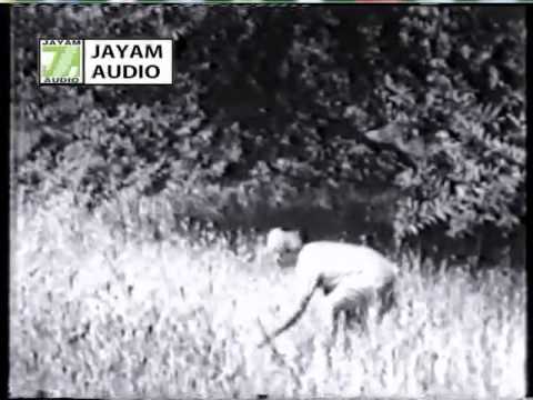 Manasukkulle Maraichu Vaikka