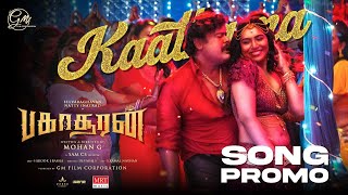 Kaathama
