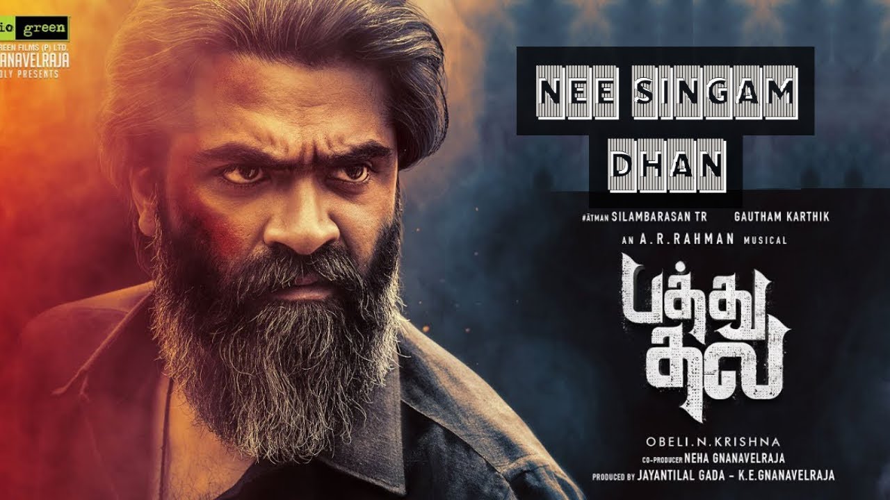 Nee Singam Dhan