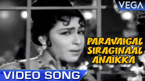 Paravaigal Siraginal