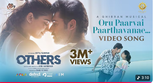 Oru Paarvai Paarthavanae