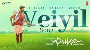 Veiyil