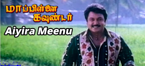 Aiyira Meenu